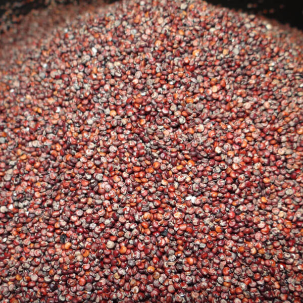 Quinoa Rouge en Vrac